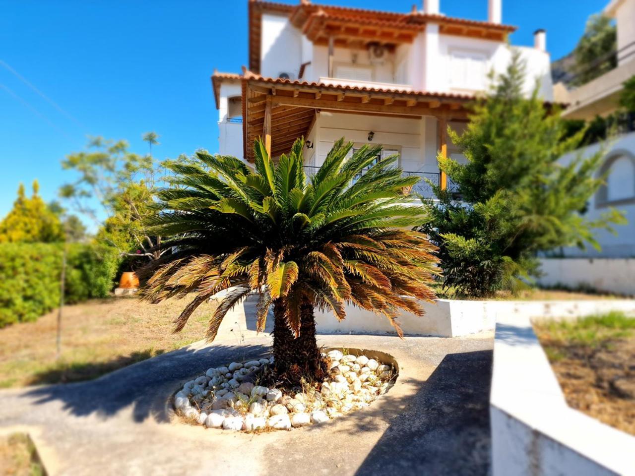 The Mirador Boutique Villa With Scenic Sea View Porto Rafti Ngoại thất bức ảnh